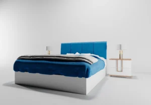 CAMA AP1